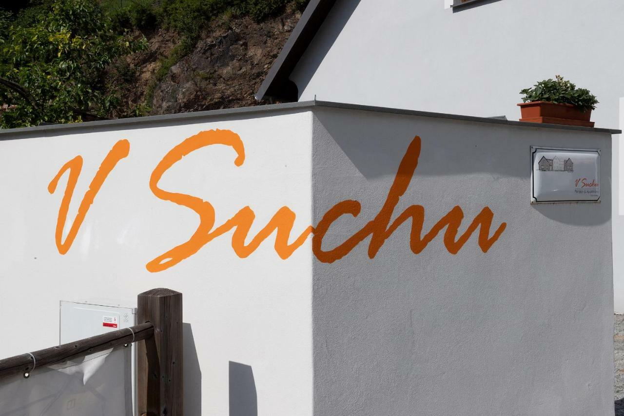 Penzion V Suchu Český Krumlov Dış mekan fotoğraf
